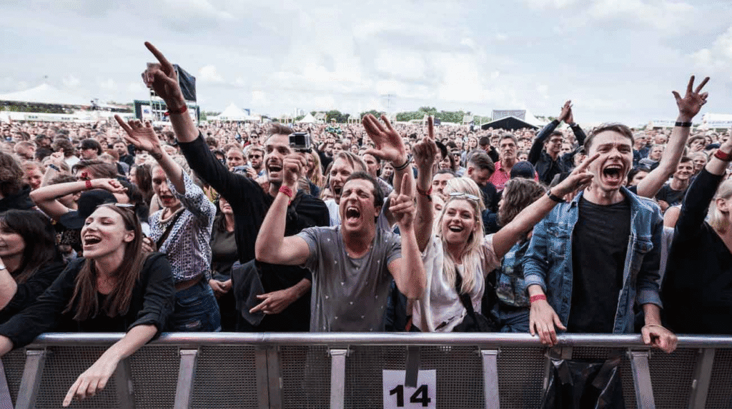 Crowds at Danish music festival linked to Denmark flu outbreak