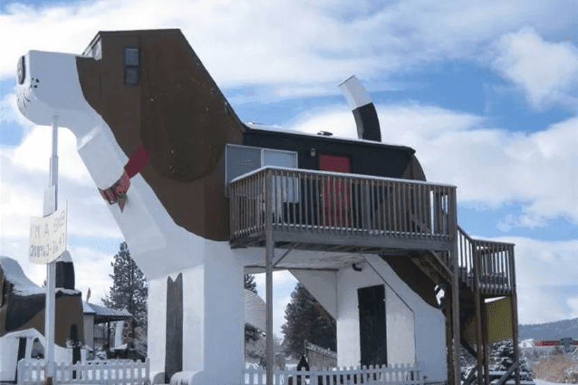 Guests enjoying their stay at the Dog Bark Park Inn in Cottonwood, Idaho