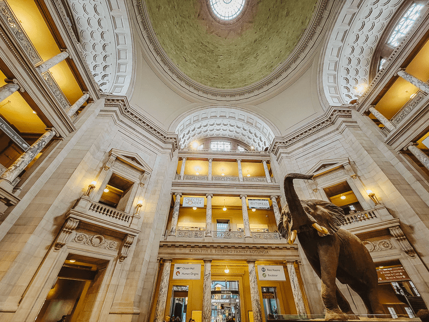 Smithsonian Institution in Washington D.C., one of the largest museums in the world you must visit at least once.